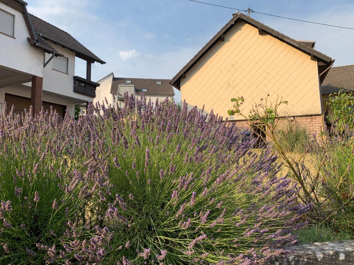 Home Feeling Trierweiler エクステリア 写真